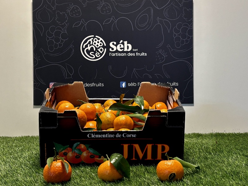 Clémentine - Corse.