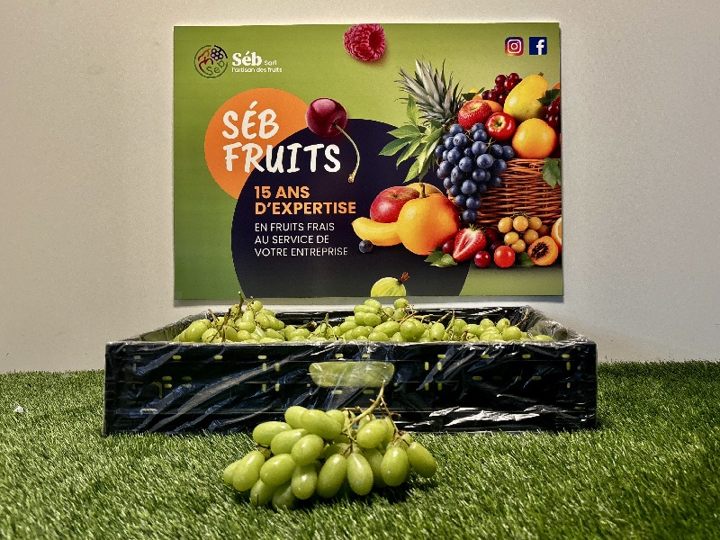 Raisin sans pépins vert